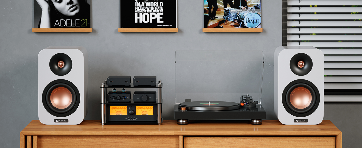 Fosi Audio V3 Mono Amplifier - Image 2